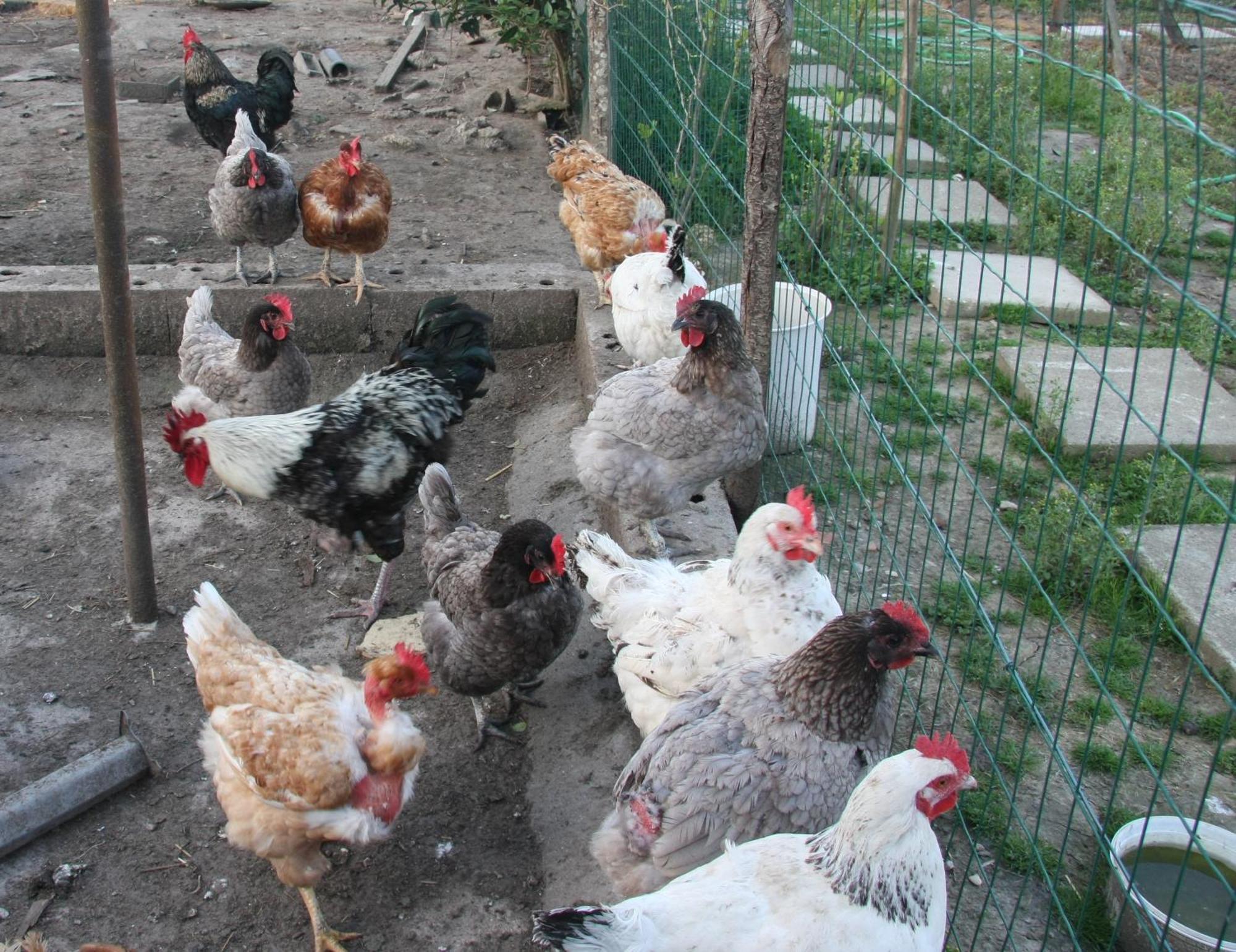 Gite Chez Mamie - 7 Personnes A Sainte Livrade Sur Lot Exterior foto